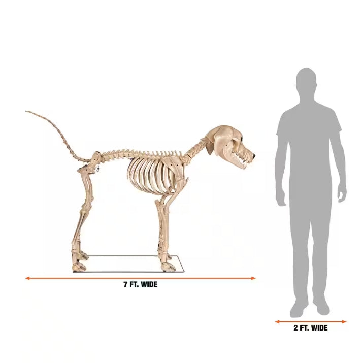 7 ft. Long Grave & Bones Skelly's Dog with LifeEyes LCD Eyes